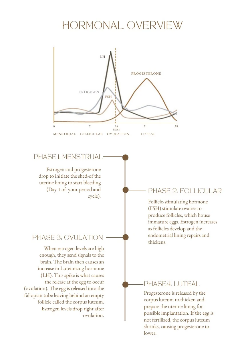 Interior page from Cycle Journal and Moon Guide